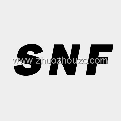 SNF軸承